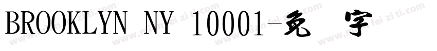 BROOKLYN NY 10001字体转换